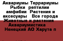 Аквариумы.Террариумы.Рыбки, рептилии, амфибии. Растения и аксесуары - Все города Животные и растения » Аквариумистика   . Ненецкий АО,Харута п.